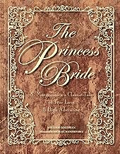 91x0D23iC2L._AC_UY218_